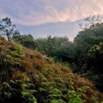 Santhosh Prathap Instagram - "She is beautiful and terrifying at the same time like nature itself." #mothernature #wonderlust #morningslikethese #mesmerizing #neverending