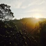 Santhosh Prathap Instagram - "She is beautiful and terrifying at the same time like nature itself." #mothernature #wonderlust #morningslikethese #mesmerizing #neverending