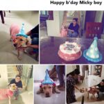 Sarayu Mohan Instagram - #Birthday boy#
