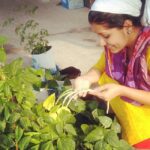 Sarayu Mohan Instagram - #സന്തുഷ്ട ടെറസ്സ്‌ കർഷക#