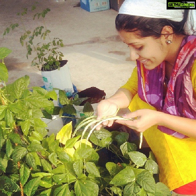 Sarayu Mohan Instagram - #സന്തുഷ്ട ടെറസ്സ് കർഷക#