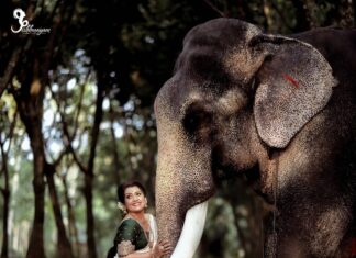 Sarayu Mohan Instagram - ആനചന്തം♥️ ഇത്രയും സുന്ദരനായ ഒരു malemodel ന്റെ കൂടെ ആദ്യമായാണ് ഒരു ഫോട്ടോഷൂട്ട്.... @nithinznith_photography_ @makeove__jishhmayam @desired_clothes__
