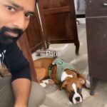Shanthanu Bhagyaraj Instagram - #ceaser - Oru reactionum Illa 🤷🏻‍♂️ Lazy to the core 🙄 #instagram #insta #instagood #instareels