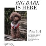 Shanthanu Bhagyaraj Instagram – For all those Pet Lovers out there 💛
The ‘BIG BARK’ is here…
#PETS101 , India’s top seeded pet retail brand and exclusive importer of 8 international brands invites franchises for its upcoming outlets, across major Indian cities.

PETS 101 features ‘Harley & Me’ the best dog boarding facility in the country and Pets 101 Grooming Studio, a pet saloon par excellence.

For further details contact
9841122223

@arunodaya_k @chikaa_r