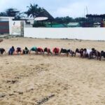 Shanthanu Bhagyaraj Instagram - The mass push up scene with @f45training_nungambakkam at @surfturf.covelongpoint #f45 #f45oneyearanniversary #funtimes @deeptiakki @adith_officiall @eshwarsgk SURF TURF