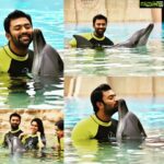 Shanthanu Bhagyaraj Instagram – #Dubai @atlantisthepalm #Dolphins such Beautiful #Mammals 💛💛😊😊 missing all the fun @kikivijay11 😍