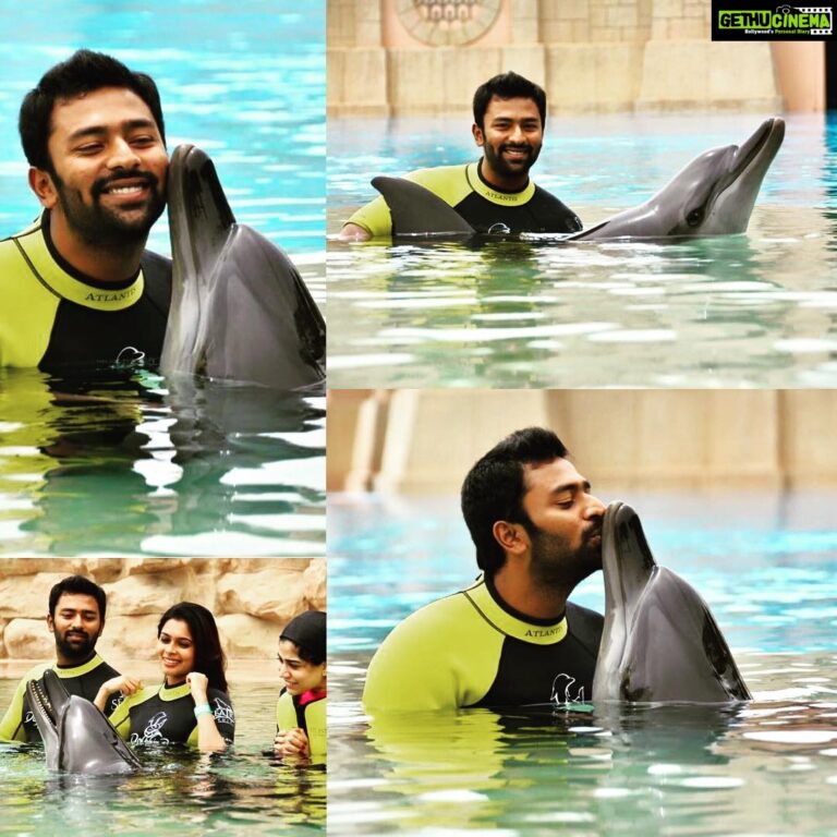 Shanthanu Bhagyaraj Instagram - #Dubai @atlantisthepalm #Dolphins such Beautiful #Mammals 💛💛😊😊 missing all the fun @kikivijay11 😍