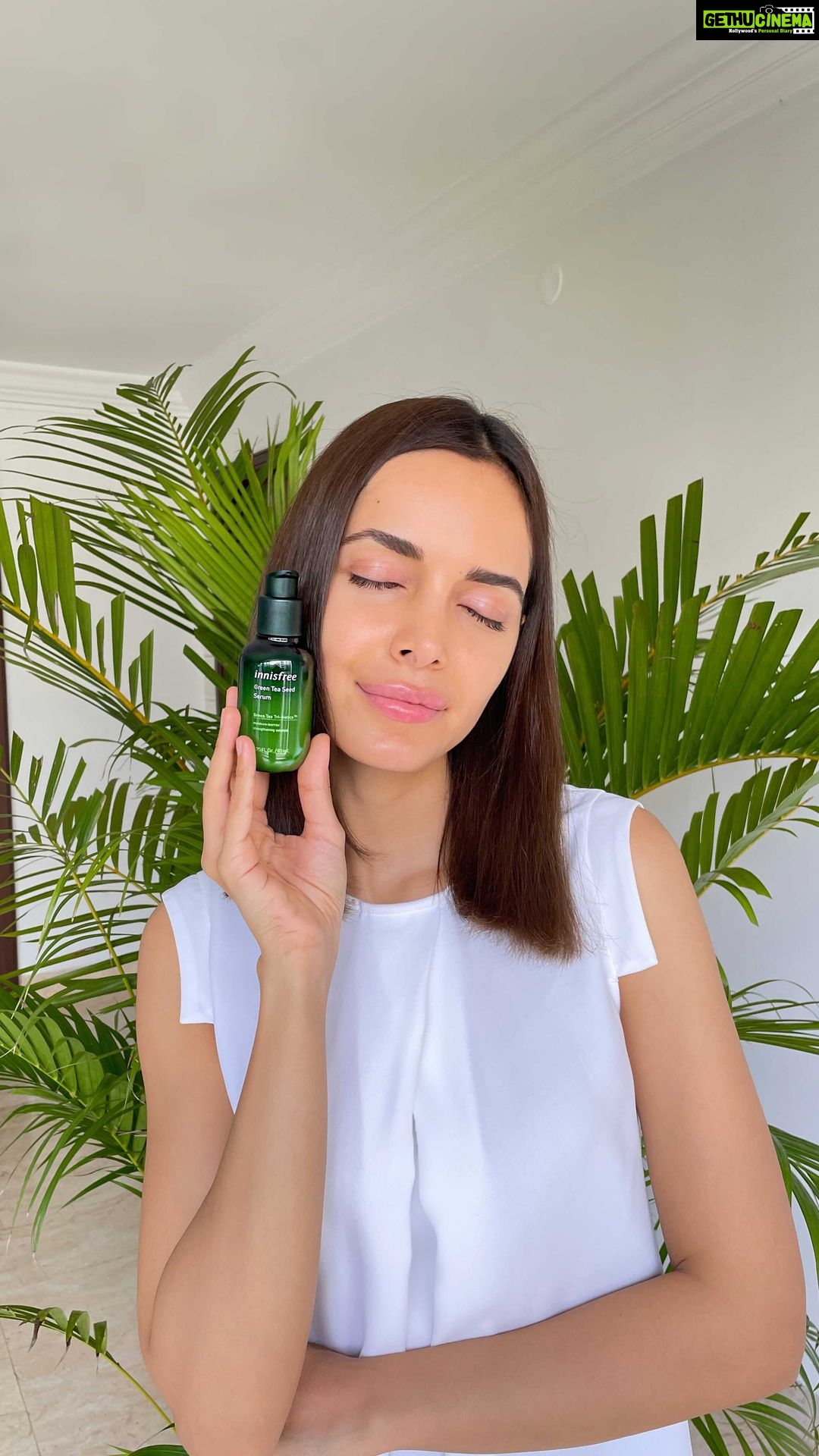 Shazahn Padamsee Instagram - Loving the new Green Tea Seed Serum 4.0 from @innisfreeindia This magical serum has really transformed my skin! 💚 It’s upgraded with Biome technology & Tri-Biotics and is a perfect blend of jeju green tea & green tea seed oil which instantly hydrates my skin leaving it soft and dewy. Apply a few drops of this serum all over your skin for better absorption, tap gently and you’re good to go! Grab yours now on @mynykaa and your nearest @innisfreeindia store 🌿✨ #Innisfree #GreenTeaSeedSerum #GreenTeaBiome #MoistureBarrierSerum #ad