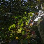 Shraddha Srinath Instagram –  The Farm, Al Barari