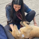 Shruti Haasan Instagram - Thankyou for all the love on Bestseller 💕memories with the team ! A big Thankyou to @siddharthpmalhotra for giving me the opportunity to play Meetu 🖤 I had the best time playing her and exploring a new story ! Watch our show on @primevideoin if you haven’t caught it yet ! #blessed #thankful #bestselleronprime