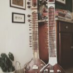 Shweta Basu Prasad Instagram – Finally got my birthday gift today! My new Sitar. 
A birthday gift from @itswolfienair @ninhao_gens @nidhi_kullu @artenvisage @cinema.resident @suhailnayyar @navjotgulati @ravinasharma_  and #adhirajbose ❤️ thanks guys :) 
.
.
This Sitar arrived just yesterday at @bhargavasmusik from Kolkata. It’s a Radha Krishna Sharma make, Gandhar Pancham style, model no. 103 as suggested by @nayanghoshofficial 
It’s a six string sitar, an Ustad Vilayat Khan sahab lineage. 
.
.
I am playing a part of Raag Kaafi. Please excuse my attempt, I am practising after such a long time! 
#sitar #indianclassicalmusic 
📸 @itswolfienair Bhargava’s Musik Pvt. Ltd.