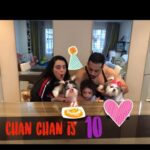 Shweta Bhardwaj Instagram – Happy birthday chan chan  my baby doll is 10 my life my world my heart i love u soooooooo much my baby @chanchanshev