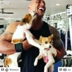 Shweta Bhardwaj Instagram - @jlo @therock 👌👌👌wish u girls find a beautiful home