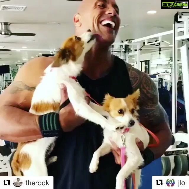 Shweta Bhardwaj Instagram - @jlo @therock πππwish u girls find a beautiful home