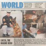 Shweta Bhardwaj Instagram - #lucca the #marine #hero receive #vc #victoria cross #medals for dogs so proud of u 🐾🐾🐾🐾🐾👏👏👏👏