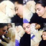 Shweta Bhardwaj Instagram – Missing @sahithyaaa @iamsushanth @nagasusheela #thor #hydrabad #diarys  my 3rdhome 🐾🐾🐾🐾😫 Hyderabad