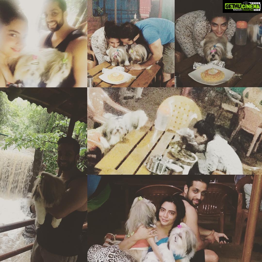 Shweta Bhardwaj Instagram - #chan #chan bday party #holiday #jangle resort Sakhroli Village @chanchanshev my baby is 6 now 😍😍r pride and joy we r so blessed to have u baby @salilacharya @shwetashivvyaa proud parent