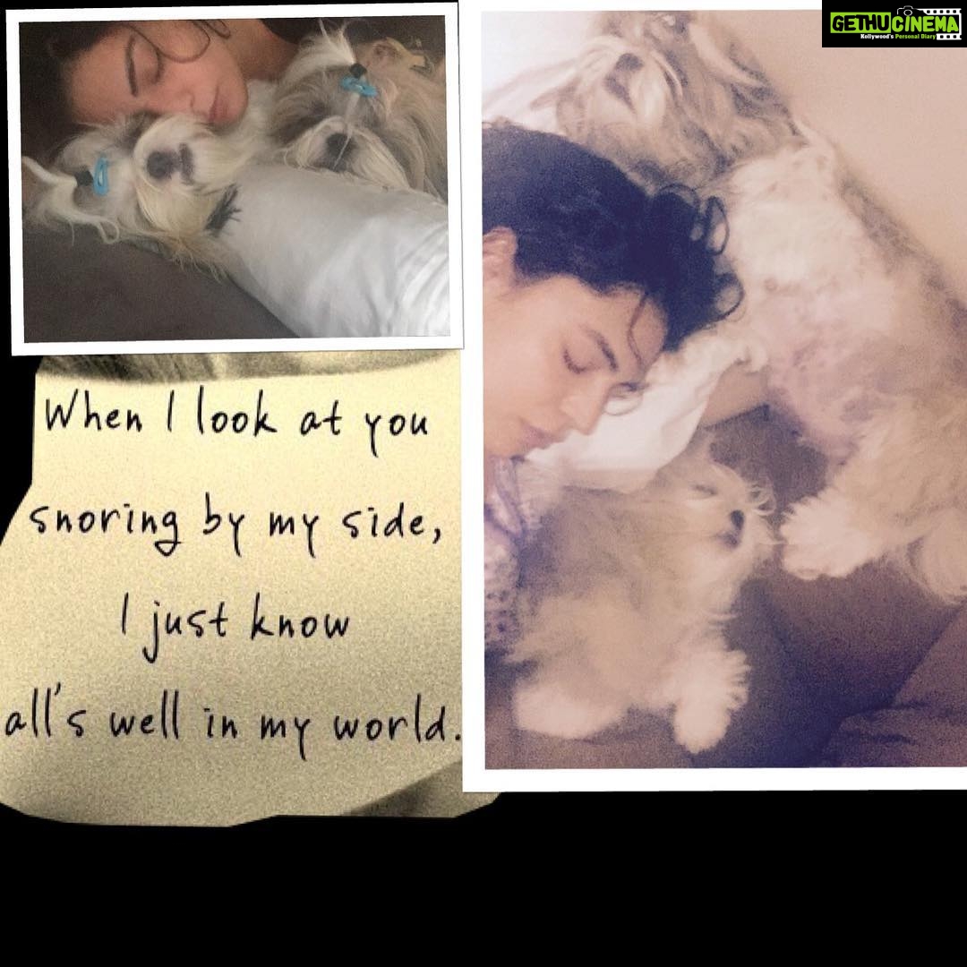 Shweta Bhardwaj Instagram - #my #baby #my #blessings #my #life #my #world #my #peace #my #happiness #my #home #my #pride #my #joy