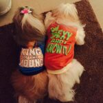Shweta Bhardwaj Instagram - #chan chan #shev #recovering form thr #surgery my #baby's my #life