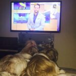 Shweta Bhardwaj Instagram - #dada #is #on tv #time #to #sleep come home