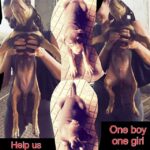 Shweta Bhardwaj Instagram - #help #us #find #home #for #them