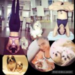 Shweta Bhardwaj Instagram - #world yoga day I use to say yoga can fix ever thing I just wish today seeing ever one post that I get the strength back to get back on my yoga Matt some day 🧘‍♀️ yoga Matt with out my Baby’s … I did yoga with my baby I sleept with my baby I Showed with my Baby’s I eat with them … Now ……………….💔🔛🔙come back @chanchanshev nothing will be fine nothing will be same with out u …