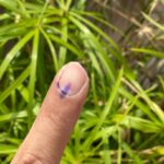Sibi Sathyaraj Instagram - Did my duty.What about you? #Vote #tnelections2021 #tamilnaduelection2021 #tamilnadu