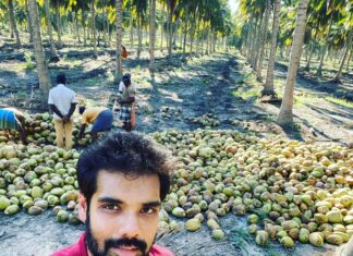 Sibi Sathyaraj Instagram - Farmer Mode! #coconut #coconutfarm #coconutwater #farmer #isupportfarmers #udumalpet #pollachi #kongunadu #Sibiraj #sibisathyaraj #actorslife #lifeofanactor #விவசாயி #விவசாயம் #தமிழன்
