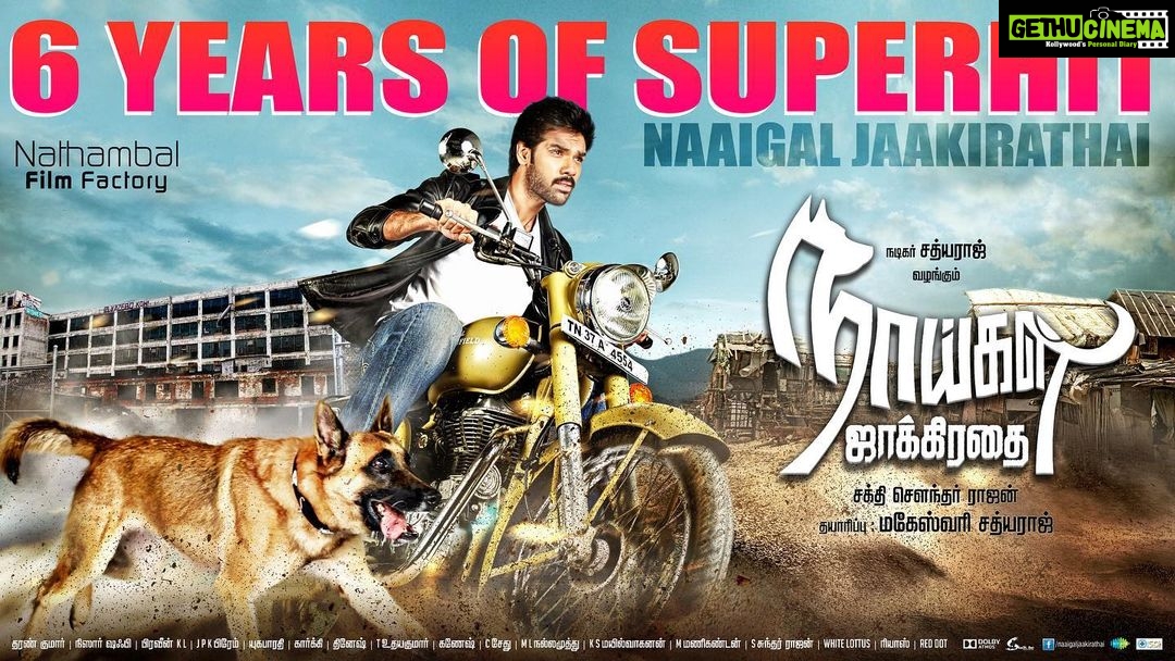 Sibi Sathyaraj Instagram - The film which continues to set records on TV and rule the heart of children! #6YrsOfSuperHitNaaigalJaakirathai @shaktisoundarrajan #Sathyaraj #MaheswariSathyaraj #Idoh _ @suntv #dog #dogsofinstagram #doglovers #belgianmalinois #naaigaljaakirathai