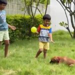 Sibi Sathyaraj Instagram - Meet Raptor, the Kombai ! The new member in our pack. I’ve always wanted to get a native Tamil Nadu breed because I feel it’s our duty to popularise these gems and moreover they’re much more suited to our climate and geographic conditions 🙏🏻🙏🏻🙏🏻 Name courtesy: Dheeran and Samaran aka #Ranbrothers #Raptor #Kombai #Nativebreed #DogsofTamilNadu #NaaigalJaakirathai #MansBestFriend #IndianBreed #Indian #Tamilan #தமிழன் #savenativebreeds #indiandogsofinstagram #dogslove #Doggystyle #dogsarebest #dogsareforlife #dogslife #dogsofInstagram #actorslife #lifeofanactor #dheeransibiraj #samaransibiraj #sibisathyaraj #sibiraj