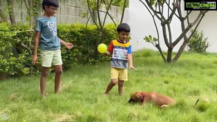 Sibi Sathyaraj Instagram - Meet Raptor, the Kombai ! The new member in our pack. I’ve always wanted to get a native Tamil Nadu breed because I feel it’s our duty to popularise these gems and moreover they’re much more suited to our climate and geographic conditions 🙏🏻🙏🏻🙏🏻 Name courtesy: Dheeran and Samaran aka #Ranbrothers #Raptor #Kombai #Nativebreed #DogsofTamilNadu #NaaigalJaakirathai #MansBestFriend #IndianBreed #Indian #Tamilan #தமிழன் #savenativebreeds #indiandogsofinstagram #dogslove #Doggystyle #dogsarebest #dogsareforlife #dogslife #dogsofInstagram #actorslife #lifeofanactor #dheeransibiraj #samaransibiraj #sibisathyaraj #sibiraj