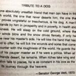 Sibi Sathyaraj Instagram - Saw these words in a book.How true! #dogsofinstagram #dog #doglover #mansbestfriend