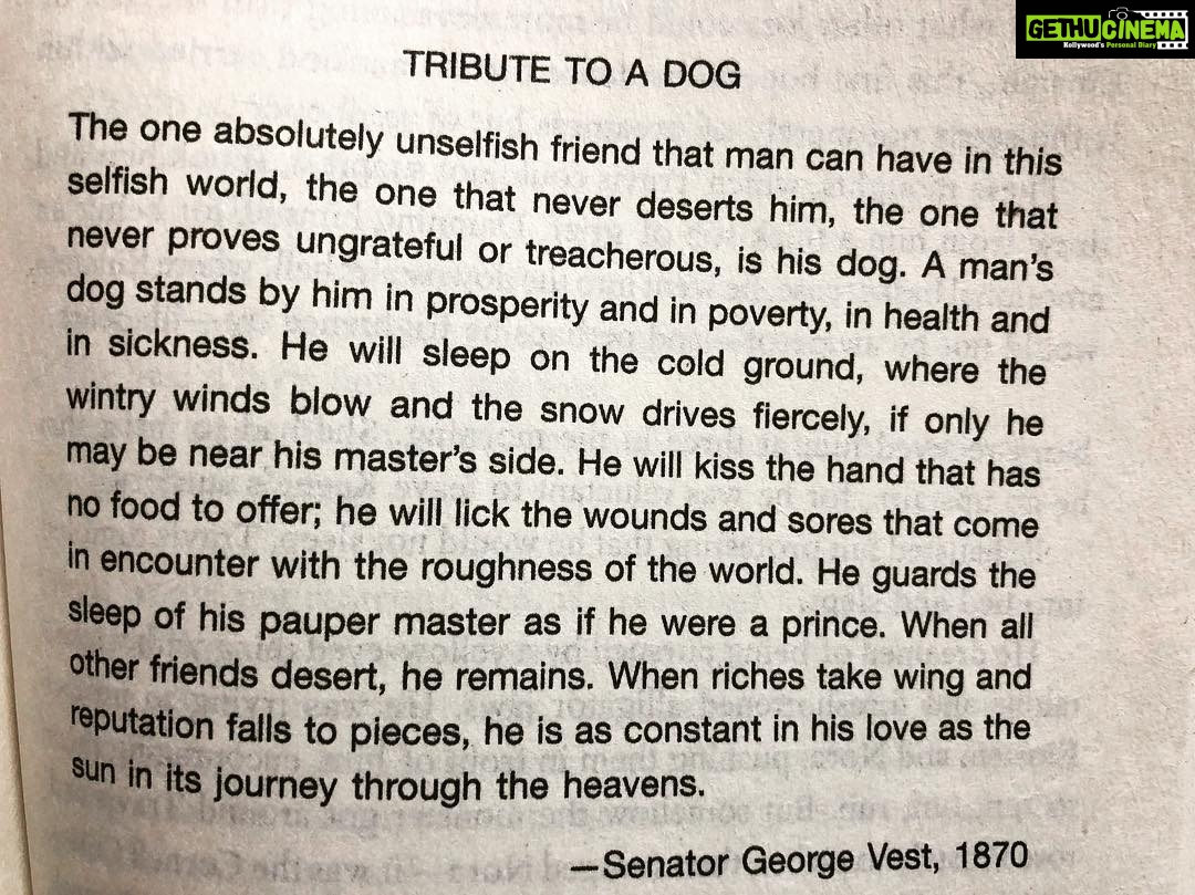 Sibi Sathyaraj Instagram - Saw these words in a book.How true! #dogsofinstagram #dog #doglover #mansbestfriend