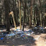 Sibi Sathyaraj Instagram - Happened to drive by this reserve forest near Yedappalli village on the outskirts of Conoor and was shocked to see the sad state it is in today!Guess the Plastic Ban in TN and the Nilgiris is just an eyewash.Hope concerned authorities take note and do something about this. #Conoor #Nilgiris #internationalforestday #worldforestday #SaveForests #SaveNature