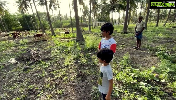 Sibi Sathyaraj Instagram - Farmers are a big part of building a healthy and sustainable future! They feed the world, they are our zero-hunger heroes. They provide wholesome and safe food! They also spend countless hours raising, breeding, and feeding cattle. We should heal our farmlands and support organic growers. No Farmers, No Food, No future. #cocunutfarm #agriculturelife #farmers #cattles #organicfoods #farmersforlife #supportfarmers #farmersforthefuture #serenelife #nature #explorenature #kidstime #landscapelovers #greenery #teachnaturetokids #naturetime #environment #environmentalist #sustainableliving #zerowaste #ecofriendly #outdooradventures #natureisbeautiful #gogreen #healthylifestyle #dadsongoals #DheeranSibiraj #SamaranSibiraj #Sibiraj #SibiSathyaraj