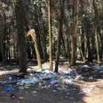 Sibi Sathyaraj Instagram - Happened to drive by this reserve forest near Yedappalli village on the outskirts of Conoor and was shocked to see the sad state it is in today!Guess the Plastic Ban in TN and the Nilgiris is just an eyewash.Hope concerned authorities take note and do something about this. #Conoor #Nilgiris #internationalforestday #worldforestday #SaveForests #SaveNature