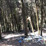 Sibi Sathyaraj Instagram - Happened to drive by this reserve forest near Yedappalli village on the outskirts of Conoor and was shocked to see the sad state it is in today!Guess the Plastic Ban in TN and the Nilgiris is just an eyewash.Hope concerned authorities take note and do something about this. #Conoor #Nilgiris #internationalforestday #worldforestday #SaveForests #SaveNature