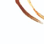 Sija Rose Instagram - A new try . A canvas for my coffee art @brew_stains . Follow and support with your love . Logo by my dear sister @celess_25