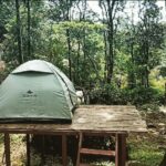 Sija Rose Instagram – A happy weekend
. 
A happy place
. 
A happy me

Swipe 👉  for the real beauty 
#weekend #wayanad #wayanadtrip #explorewayanad #tent #morning #naturebeauty #pacha #greenisthenewblack #itsarelief #appleofmyeye #southindiatravel #travelkerala #bestpartofworld #travelplaces Explore Wayanad