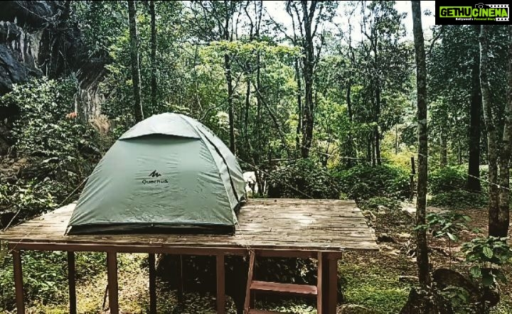 Sija Rose Instagram - A happy weekend . A happy place . A happy me Swipe π for the real beauty #weekend #wayanad #wayanadtrip #explorewayanad #tent #morning #naturebeauty #pacha #greenisthenewblack #itsarelief #appleofmyeye #southindiatravel #travelkerala #bestpartofworld #travelplaces Explore Wayanad
