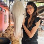 Simran Kaur Mundi Instagram - #WhiteBeauty 🤍 . . #horse #whitehorse #beauty #snowwhite #horselover #stable #horseriding #marwari #purebreed #pinknose