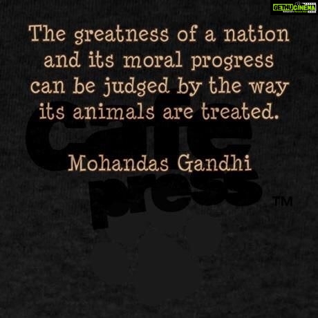 Sneha Ullal Instagram - Jai Hind..#snehaullal #makeadifference