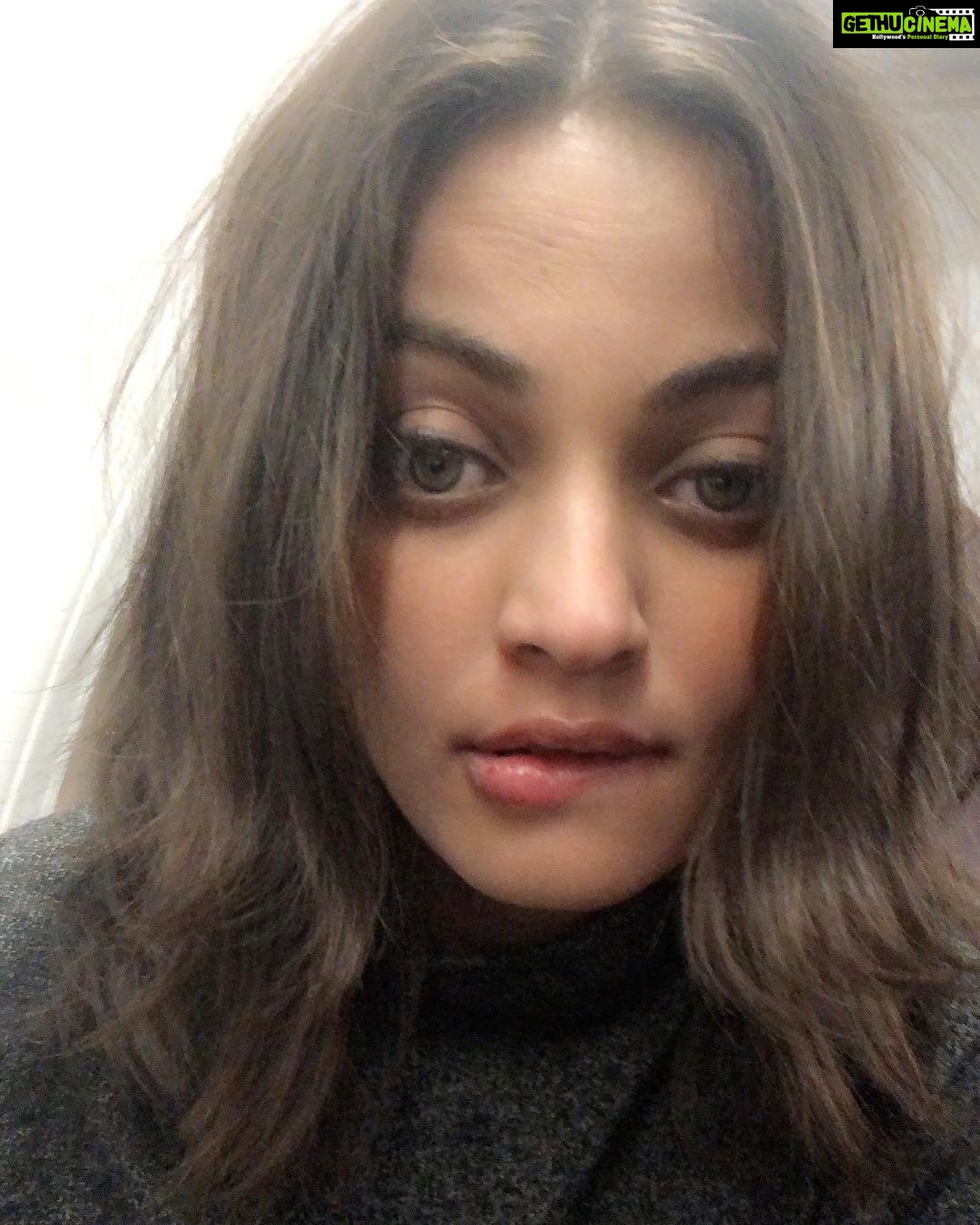 Sneha Ullal Instagram - Apparently the color of my hair is Ash.And no i dont color my hair. #keepitreal
