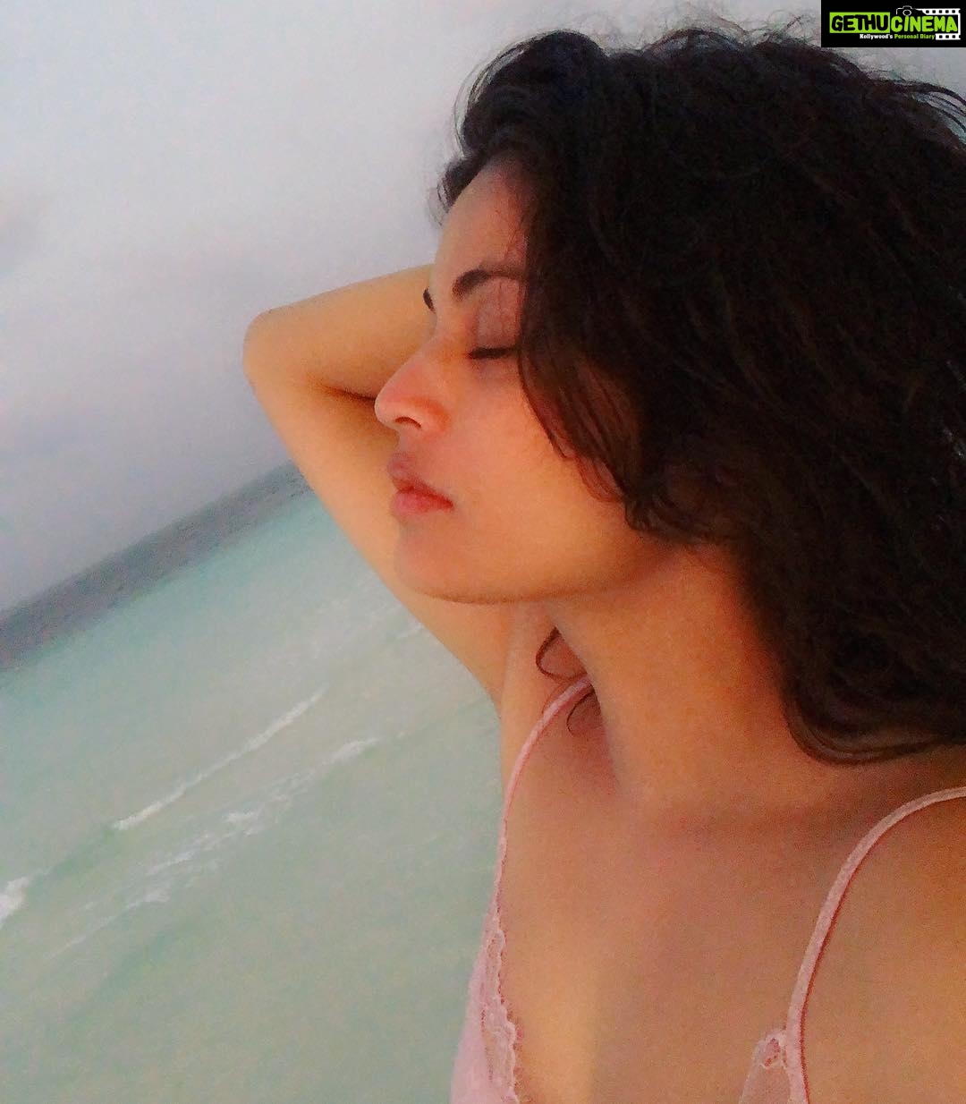 Sneha Ullal Instagram - Confidence is silent Insecurities are loud #snehaullal