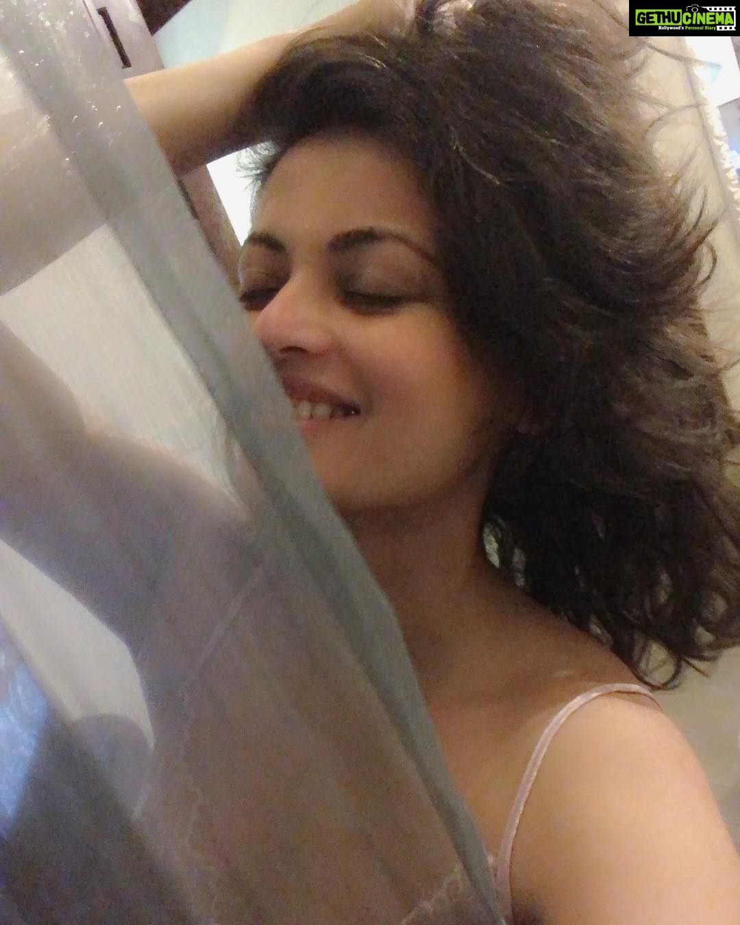 Sneha Ullal Instagram - Good morning Sunshine