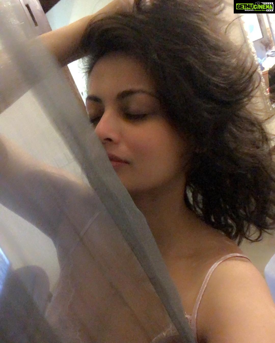 Sneha Ullal Instagram - Good morning Sunshine