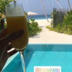 Sneha Ullal Instagram – My beach Pool Villa @fushifaru Maldives.Open air bathroom,a cozy bedroom,a plunge pool with direct access to the blue ocean.What more can i ask for.
So about the service, or the staff which by the way they call “The residents” as everyone is housed on this very stand alone property/island.They are just perfect.Warm And Welcoming.
Cant wait to get back here.
Thank you for treating me so right.. Fushifaru Maldives
