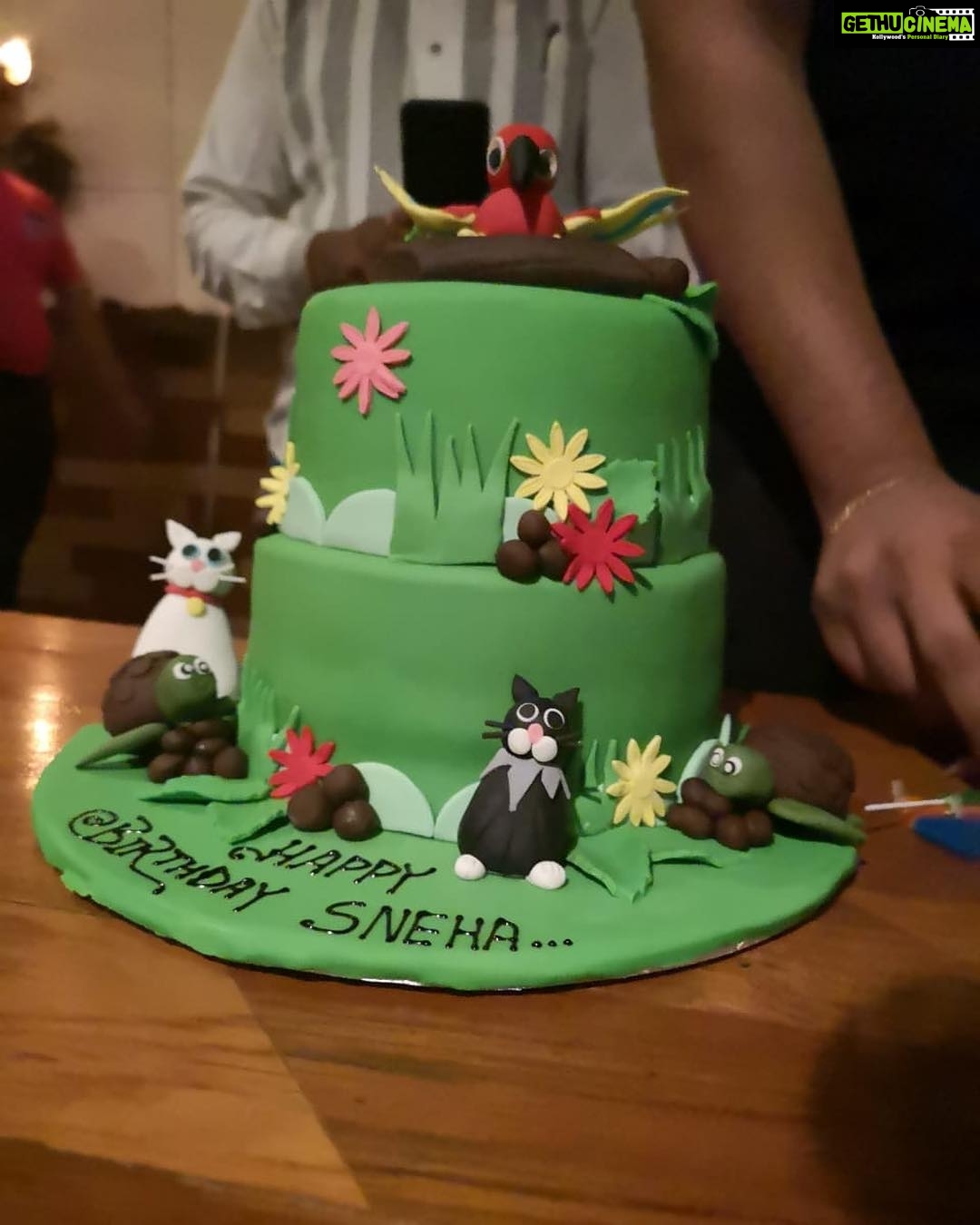 Sneha Ullal Instagram - My cake 😀🖤.It had my cats,my turtles and my bird..It was all love.So perfect.Thank you AM