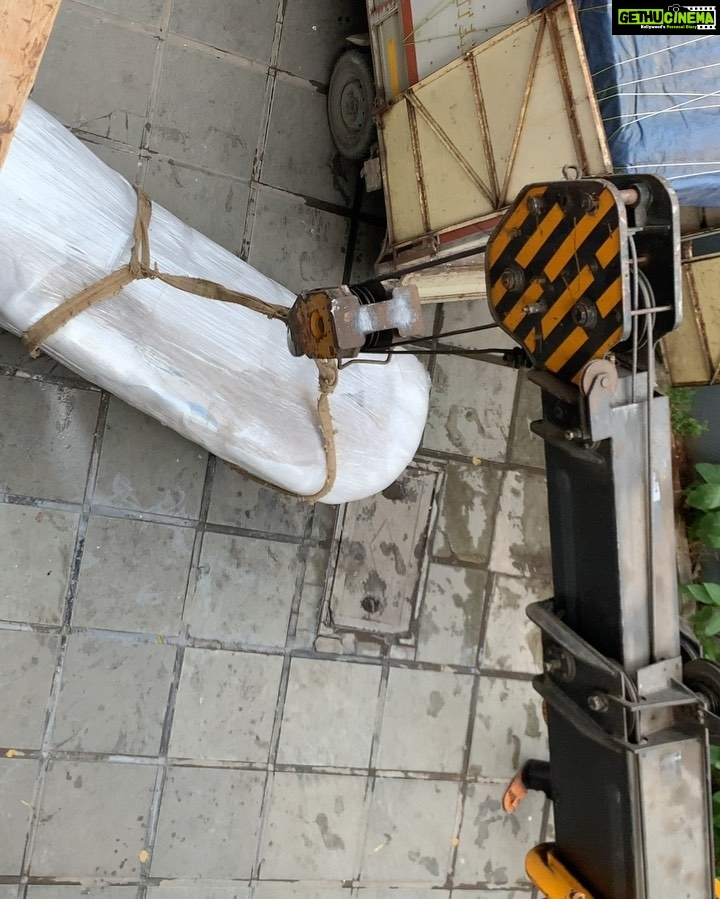 Sneha Ullal Instagram - Imported new Italian sofas for Diwali , didn’t think it through.Literally DIDNT THINK IT THROUGH.It was too huge to come up the stairs,had to crane 🏗 it up through my window which i had to break down as well.Dumb buy.But Picket 🐈⬛ seems to have claimed her spot already.Decorating the living room now.Will show you how it looks once its done.Yes we like to decorate our own home.