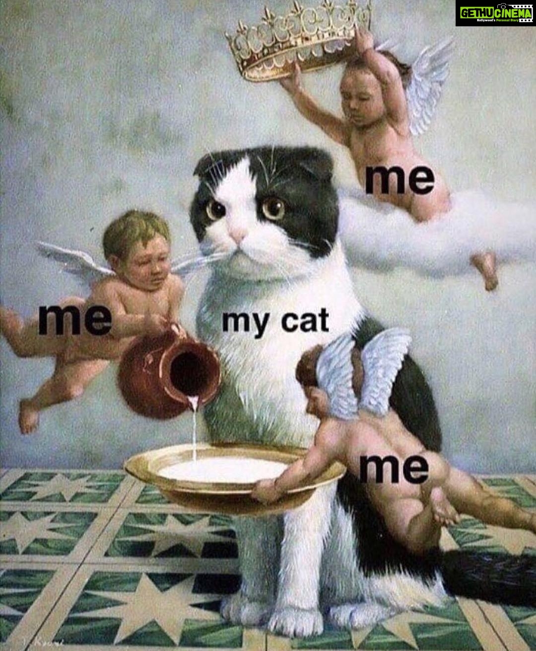 Sneha Ullal Instagram - Yep thats me,me and me..Always a slave to my cats